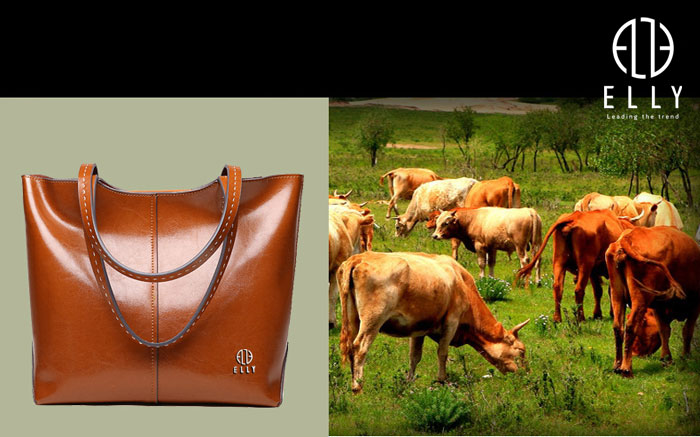 tui xach nu cao cap da that ELLY ET53 23 1