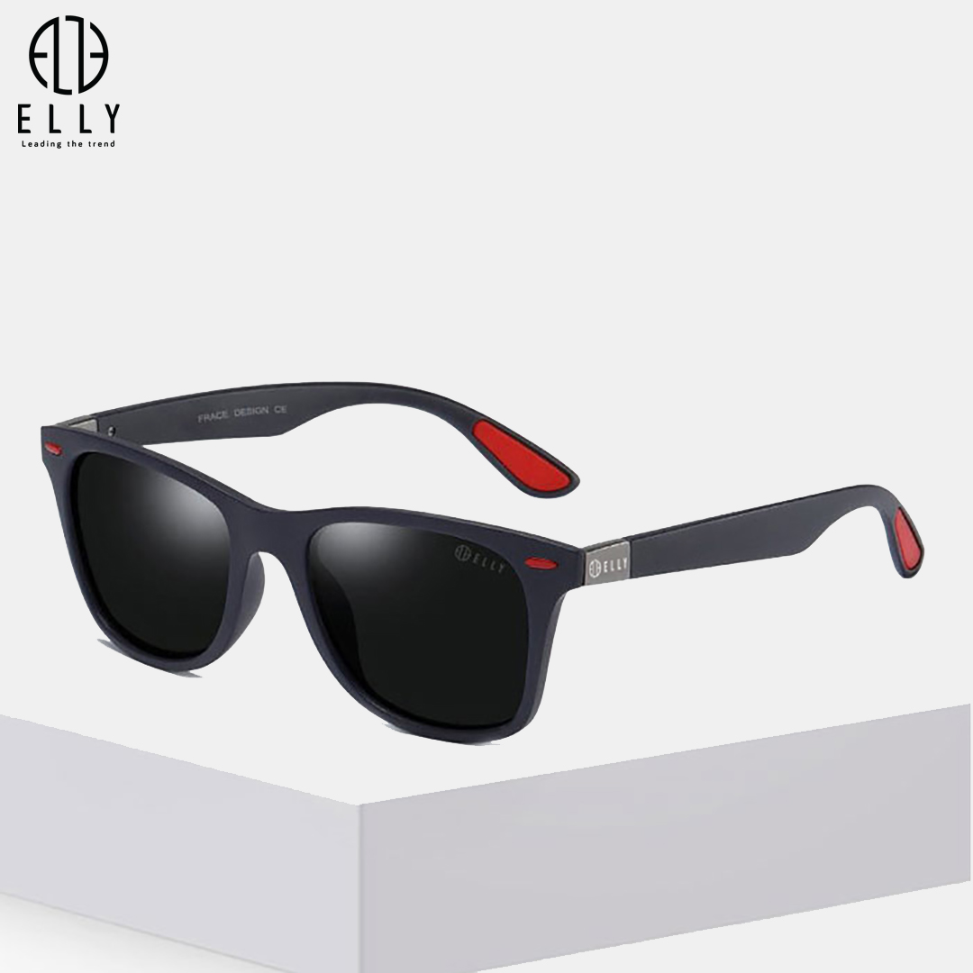 kinh mat nam cao cap elly homme ekm107 3