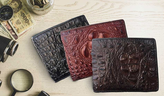 tu van cach chon vi da ca sau chuan nhat cho quy ong 1 5