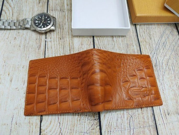 tu van cach chon vi da ca sau chuan nhat cho quy ong 1 6