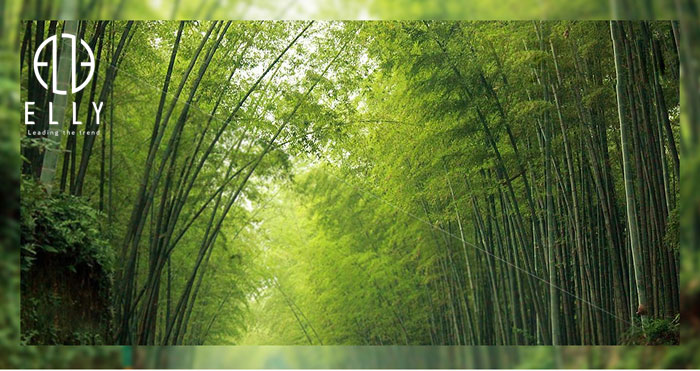 kinh-mat-hang-hieu-chau-au-2