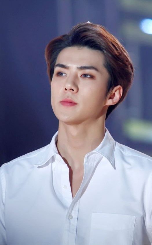 nhung mon do khong the thieu trong tu do cua exo sehun.1