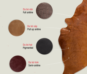 37568658 1062098353957915 2481253742779826176 n