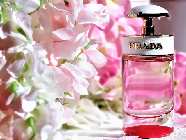 Top 5 chai nước hoa Prada hot nhất dành cho phái nữ | ELLY - TOP 10 Thương  Hiệu Nổi Tiếng Việt Nam