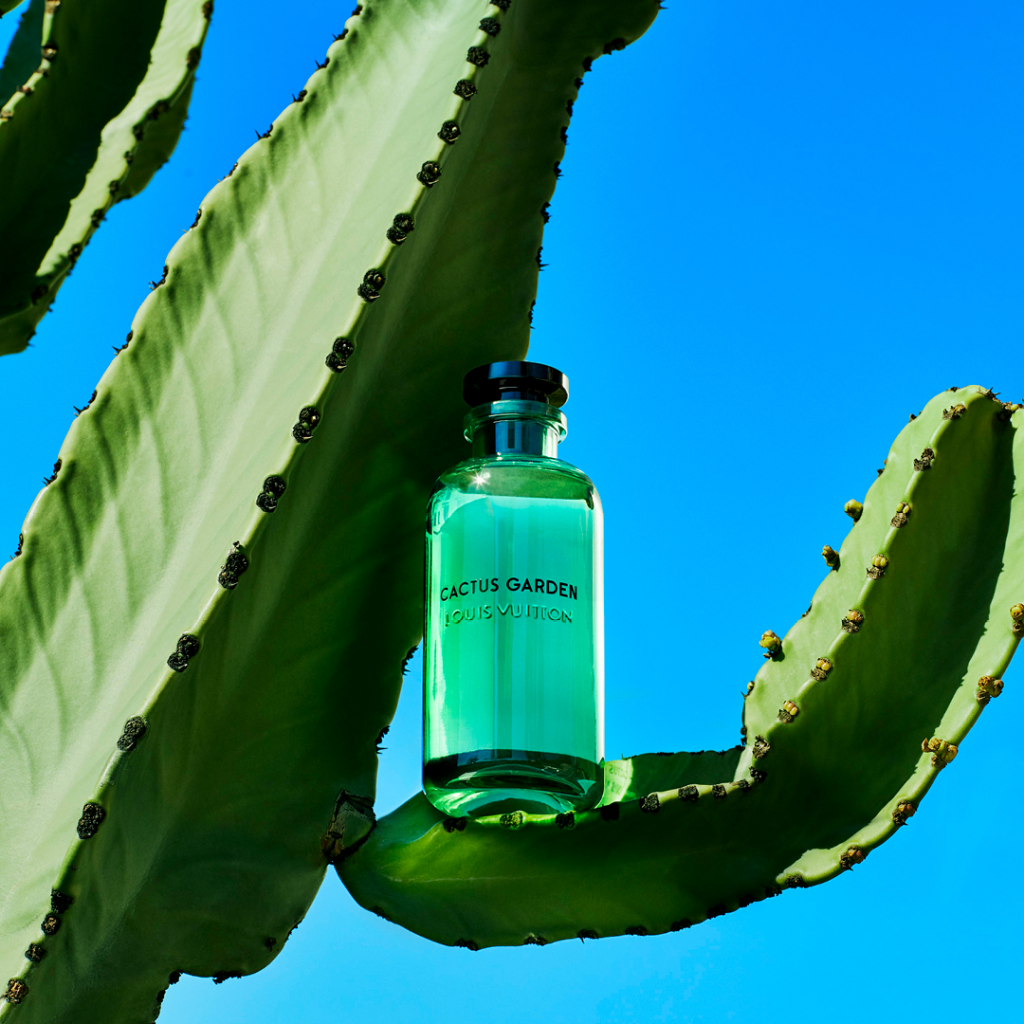 80c7b3968c0ef4cff95ce9ff7ba7646f 1024x1024 1