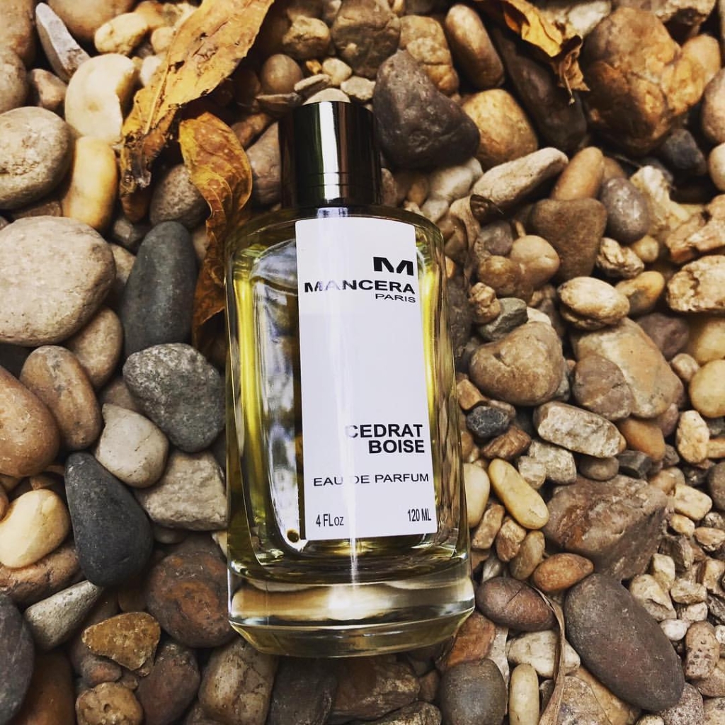 53205280 170567880594454 11471750285917262 n