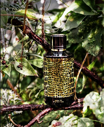 mui huong Mancera Wild Python