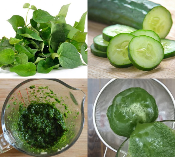 5 cach uong nuoc rau diep ca giup nang dep da khoe manh 4