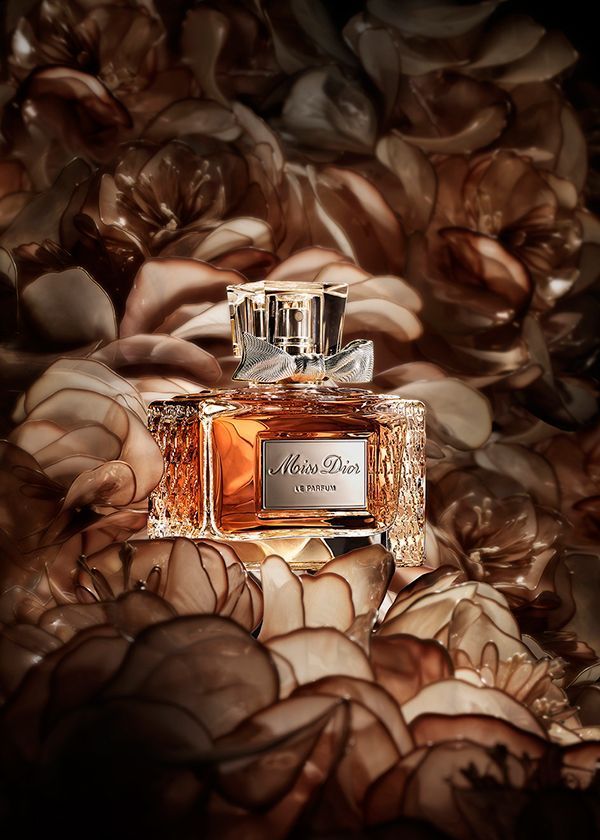 e508f804bb10d33da8b9eb0691fe7a25