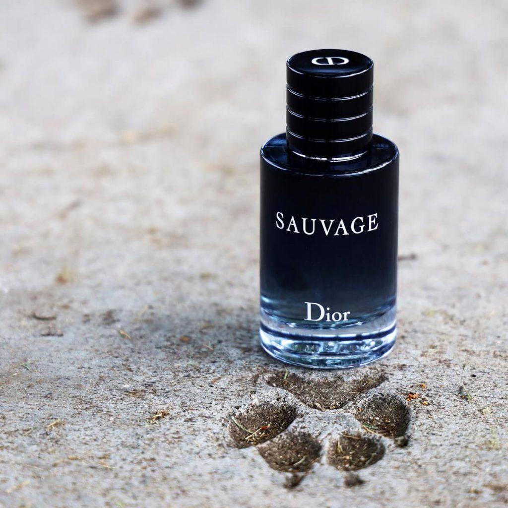 nuoc hoa nam dior sauvage edt 100ml EEoYGm6MUXezKPS4 1024x1024 1