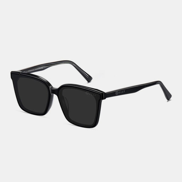 Kính mắt unisex cao cấp ELLY – EKU141