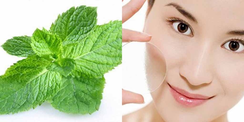 7 loai thao duoc ho tro lam dep da 2