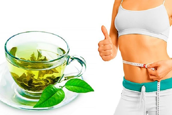 Trà lá vối và những công dụng cho sức khỏe Trà lá vối và những công dụng cho sức khỏe