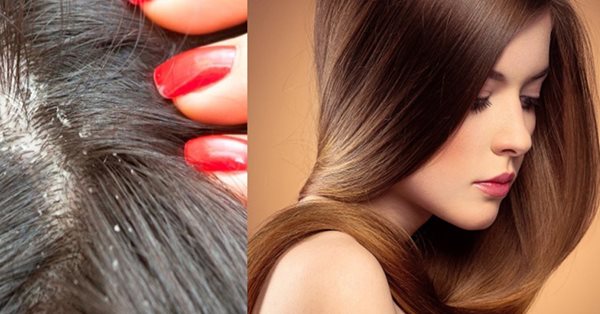 3 phuong phap lam sach gau giam ngua hieu qua