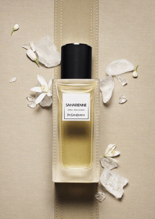 65124 0ec0d9b19c7351805b3a757bda1f2121 le vestiaire saharienne 2015