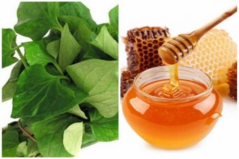 cach lam mat na rau diep ca 2