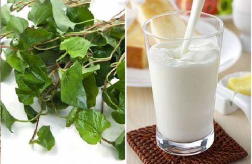 cach lam mat na rau diep ca 3
