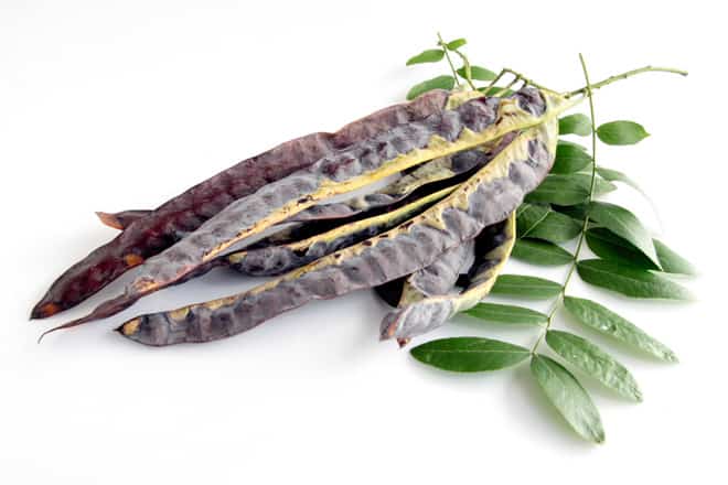 5 bi mat giu lan da cua ban trong hoan hao hon tu nguyen lieu thien nhien 2