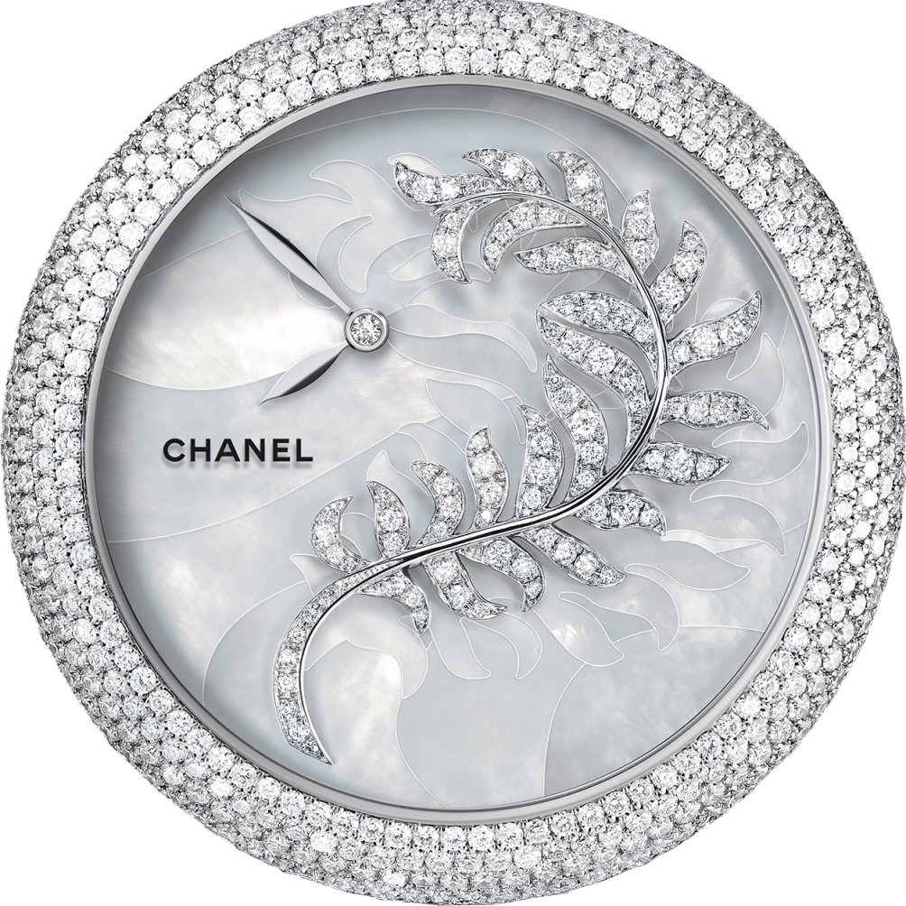 diem danh nhung loai mat dong ho so pho bien tren the gioi phan 2.7