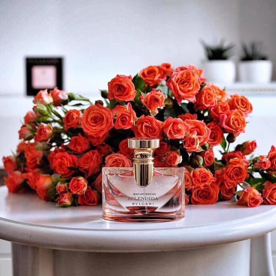 88e13bd0b1bad509542f0811155f452b