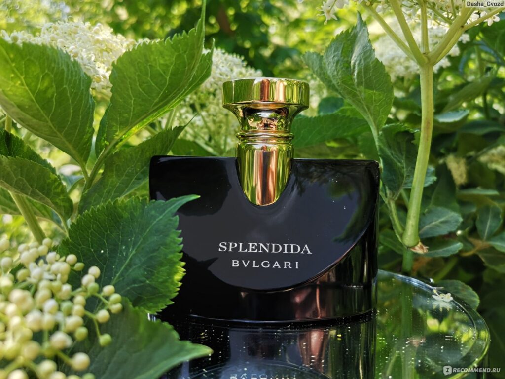 zG0mKjqyq2UADmAYB91tA