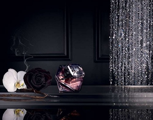 thiet ke Lancome Tresor La Nuit