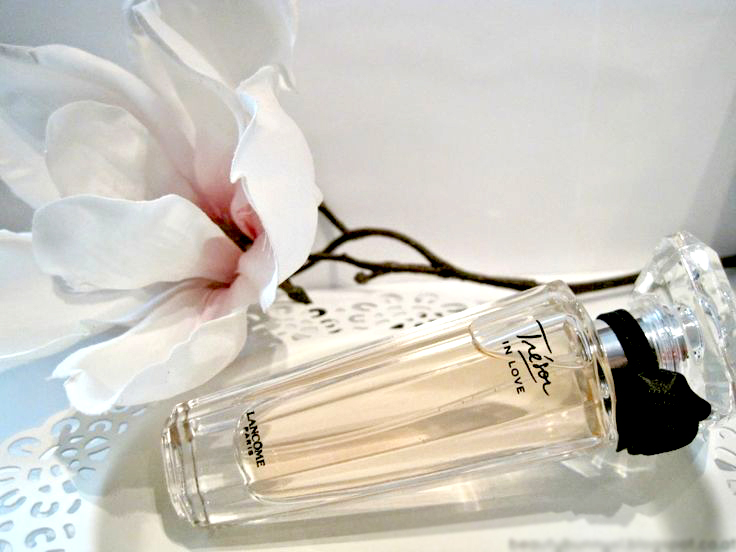 6e3f51397735ddd1362fc3b401a25c29 copyasa