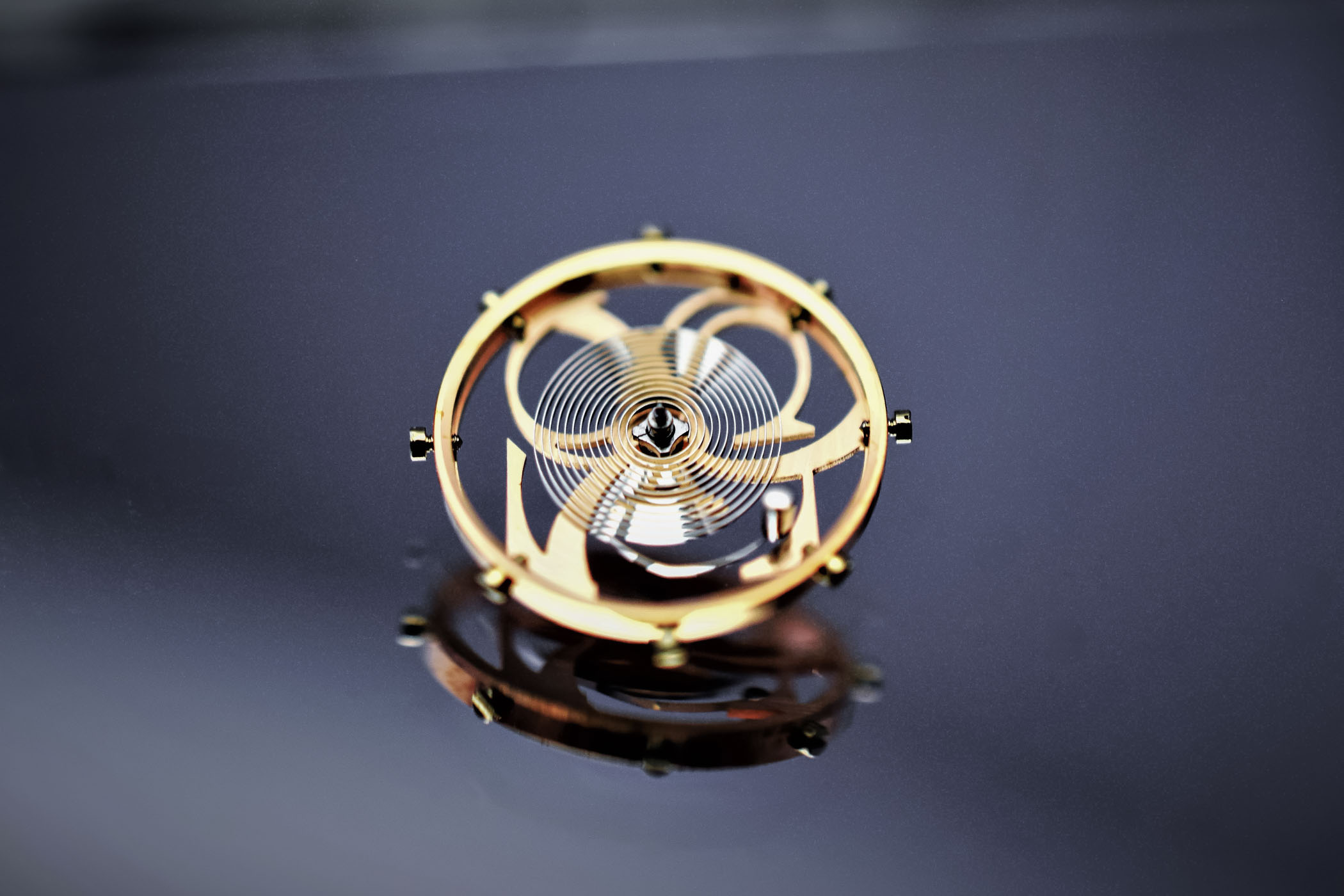 tu truong va cach chong tu truong tren dong ho.4