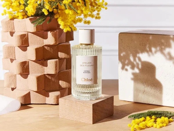 Chloe Atelier Des Fleurs Herba Mimosa 1