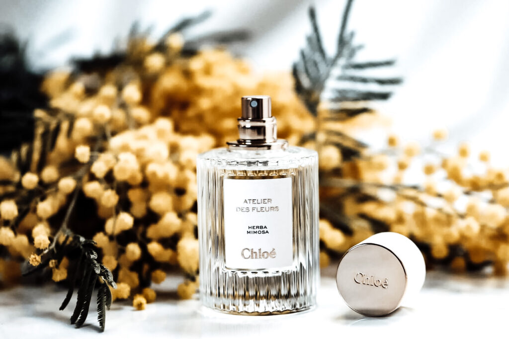 atelier des fleurs herba mimosa