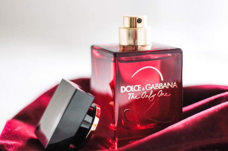 avis the only one 2 dolce gabbana 800x533 1