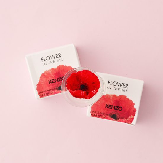 2742d93348a00550e51ae6a5cd049c41