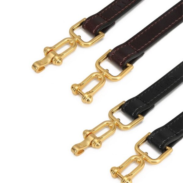 Dây lưng nữ cao cấp da thật ELLY – ED70
