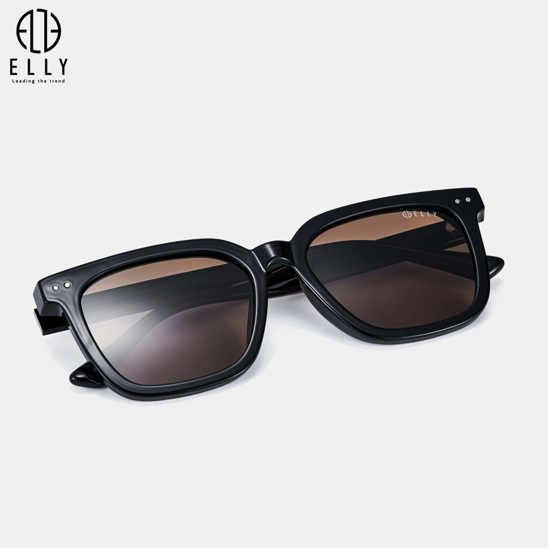 kinh mat unisex cao cap elly ekm161 34