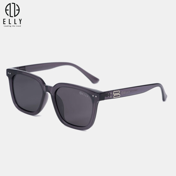 kinh mat unisex cao cap elly ekm161 20 1