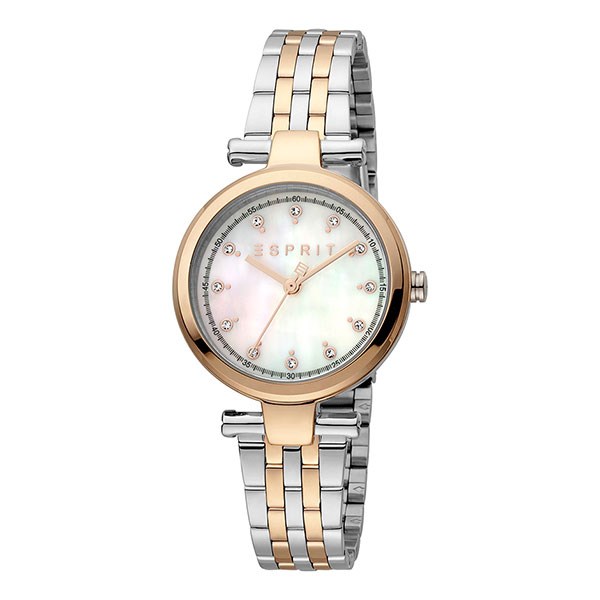 thuat ngu dong ho homage ma ban nen biet.3