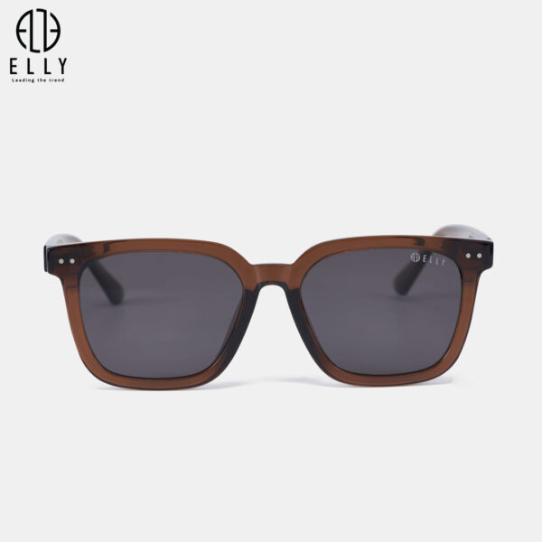 kinh mat unisex cao cap elly ekm161 29