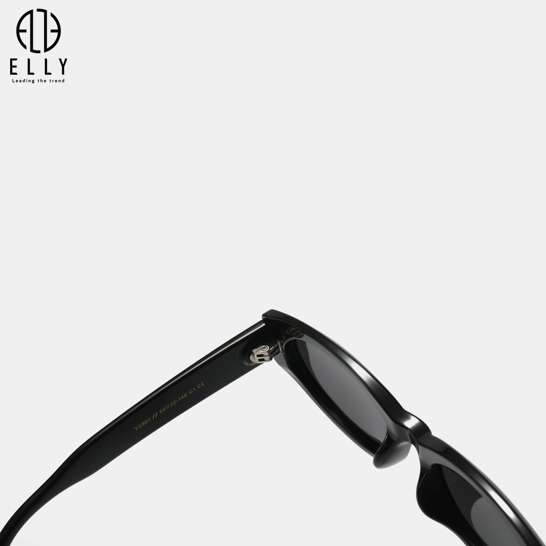 kinh mat nu thoi trang cao cap elly ek175 7