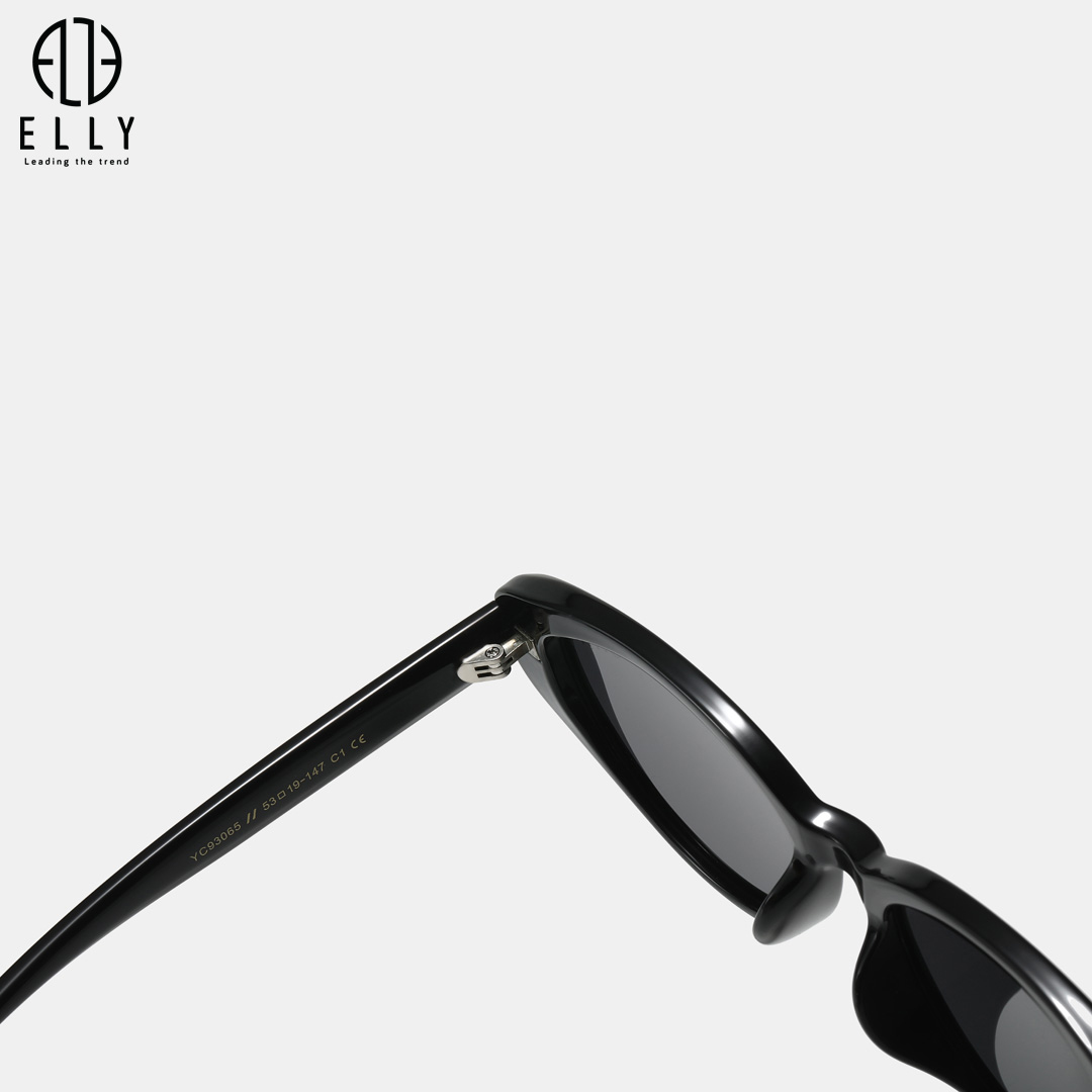 kinh mat nu thoi trang cao cap elly ek173 30