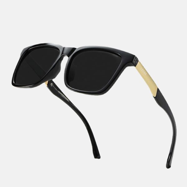 kinh mat nam cao cap lecos lk25 8