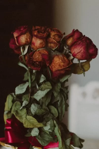 quà Valentine