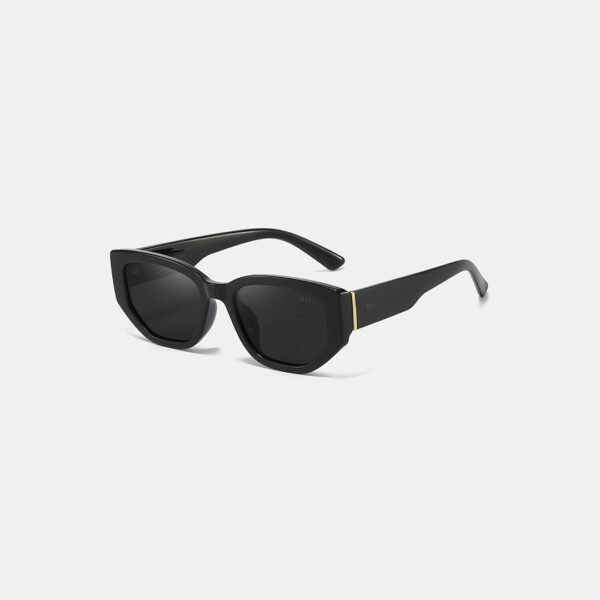 Kính mắt nữ ELLY - BS.EK178