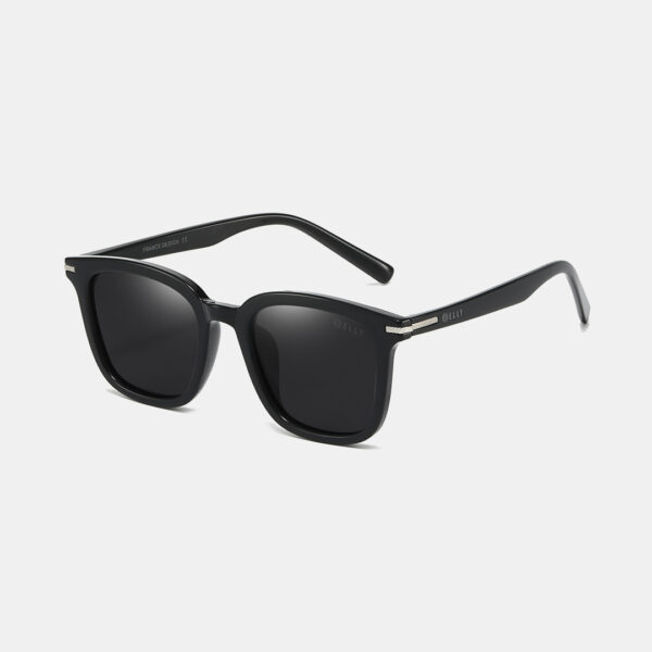 Kính mắt nữ cao cấp ELLY - EK217